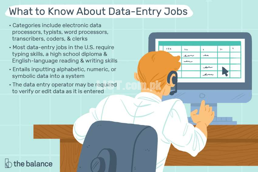 Experienced Data Entry Operator
