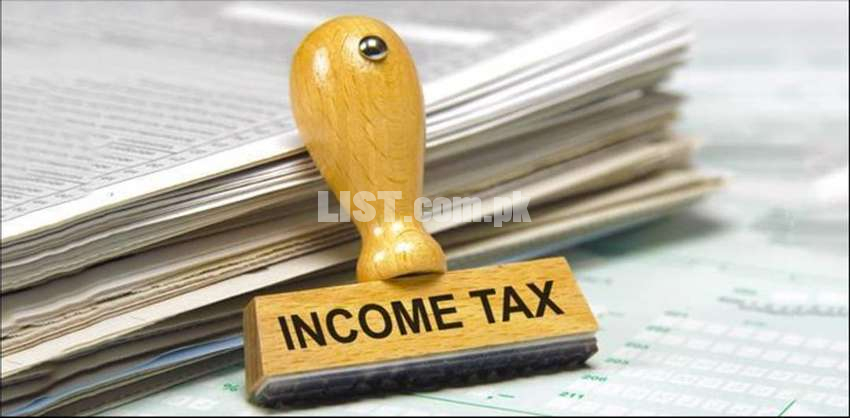 Income Tax Filer - Tax payer Registration return file
