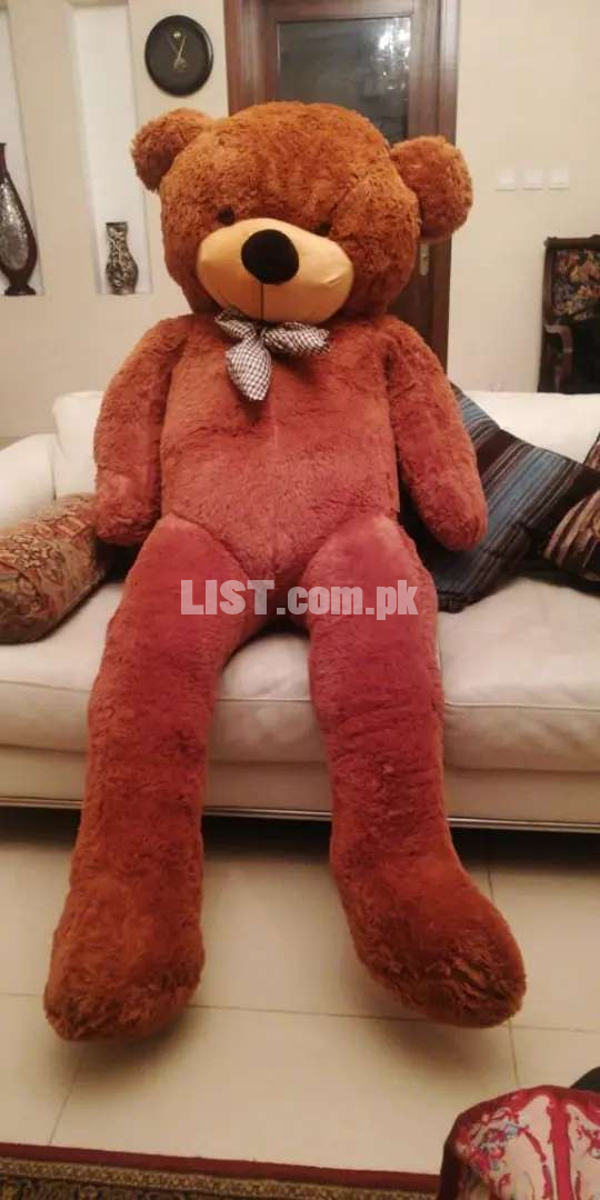 Giant size teddy bear available for birthday, anniversary , valentine