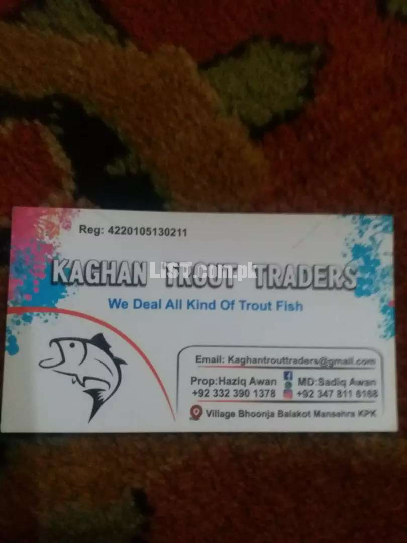 Kaghan trout traders