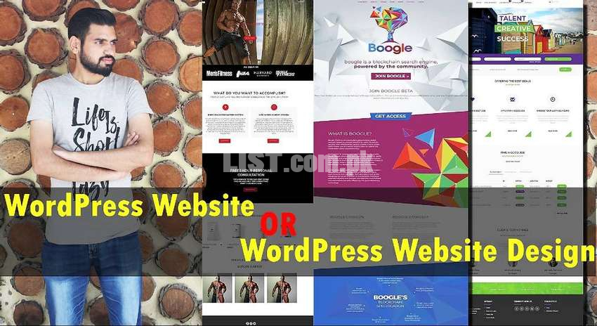 Professional Website or WordPress Website Designer