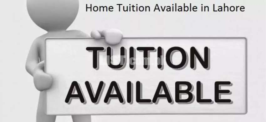 Home Tutor Available