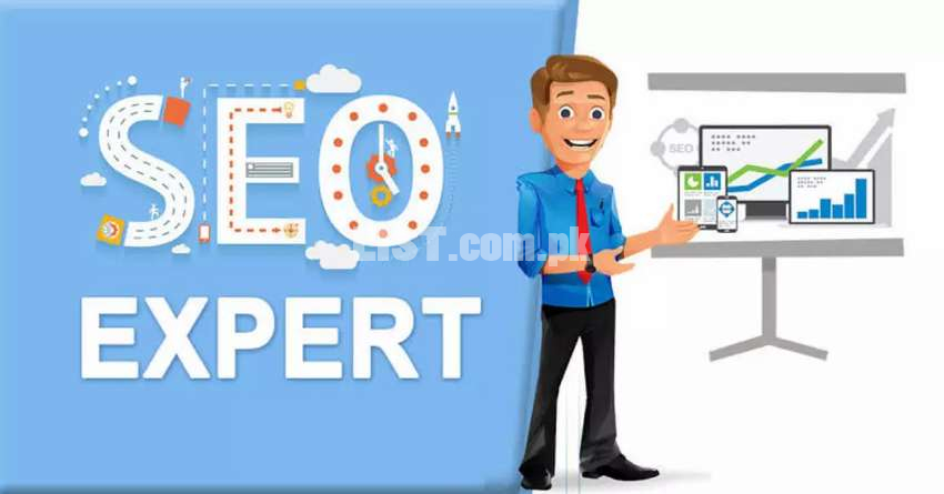 Seo expert and website Developer
