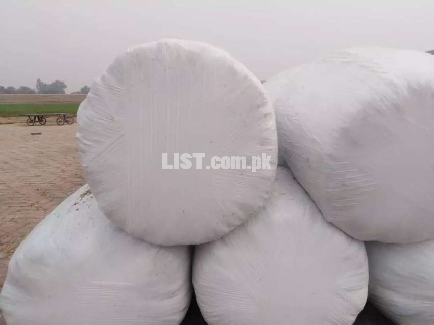 Silage available