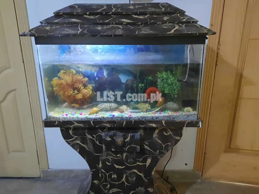 Beautiful aquarium for sale in 10/10 condition