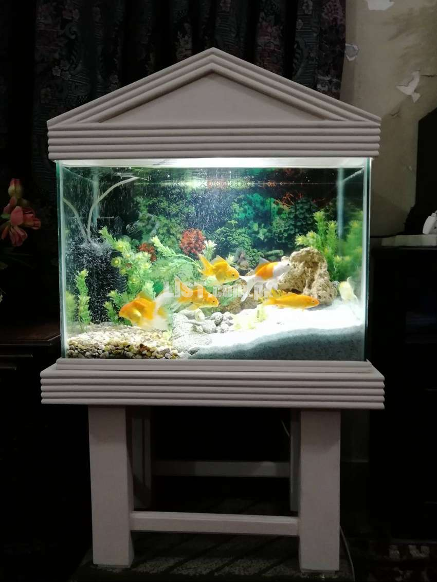 Two feet aquarium for sale