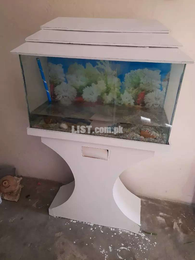 Fish aquarium 2.5 feet