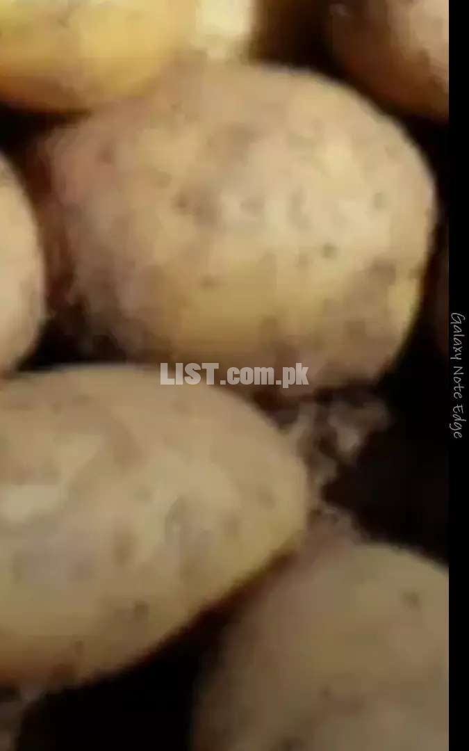 Best fries Irani potato