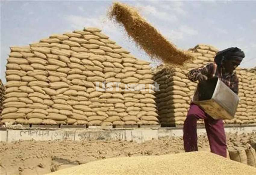 Wheat & rice trading business