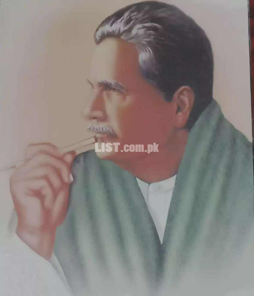Office picture of quaid and iqbal