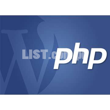 WORDRPESS AND PHP DEVELOPER
