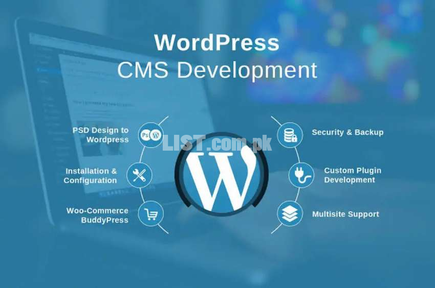 WordPress Website Frontend Customization