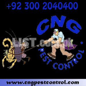 Bed Bug heat treatment services