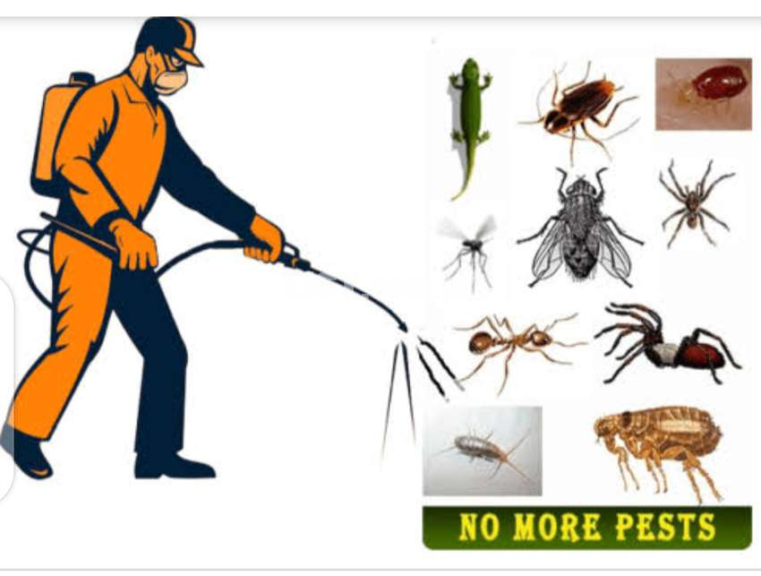 Best fumigation ,pest control,termite control ,water tank cleaning
