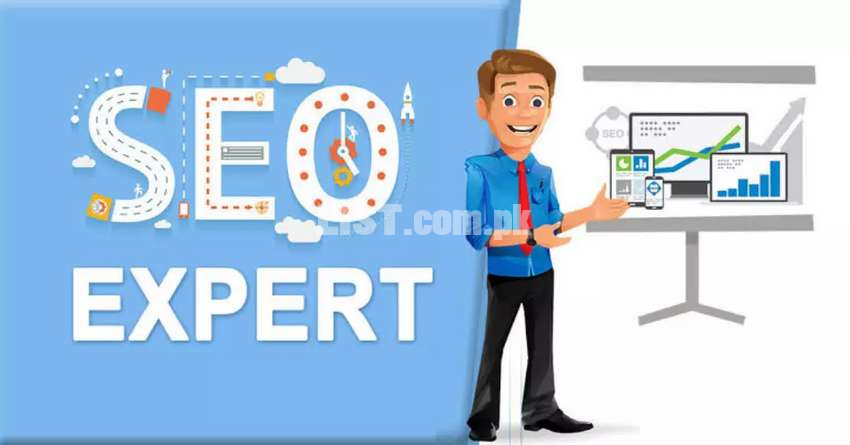SEO expert | website Developer | E commerce Store