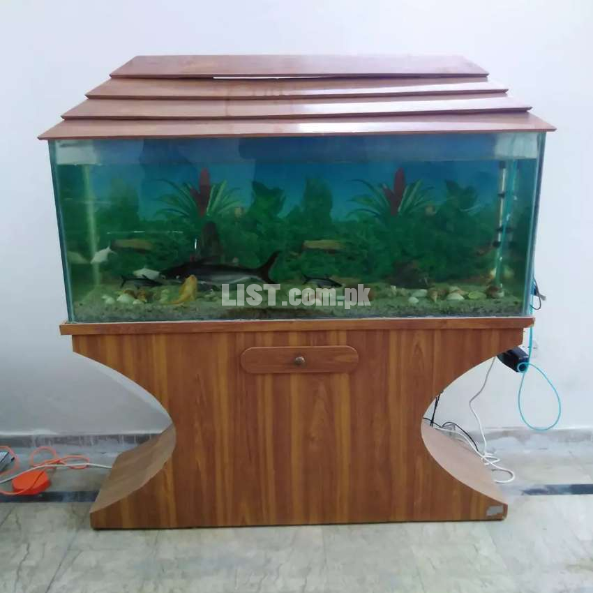 Fish aquarium at lowest price with fishes.urgent sale