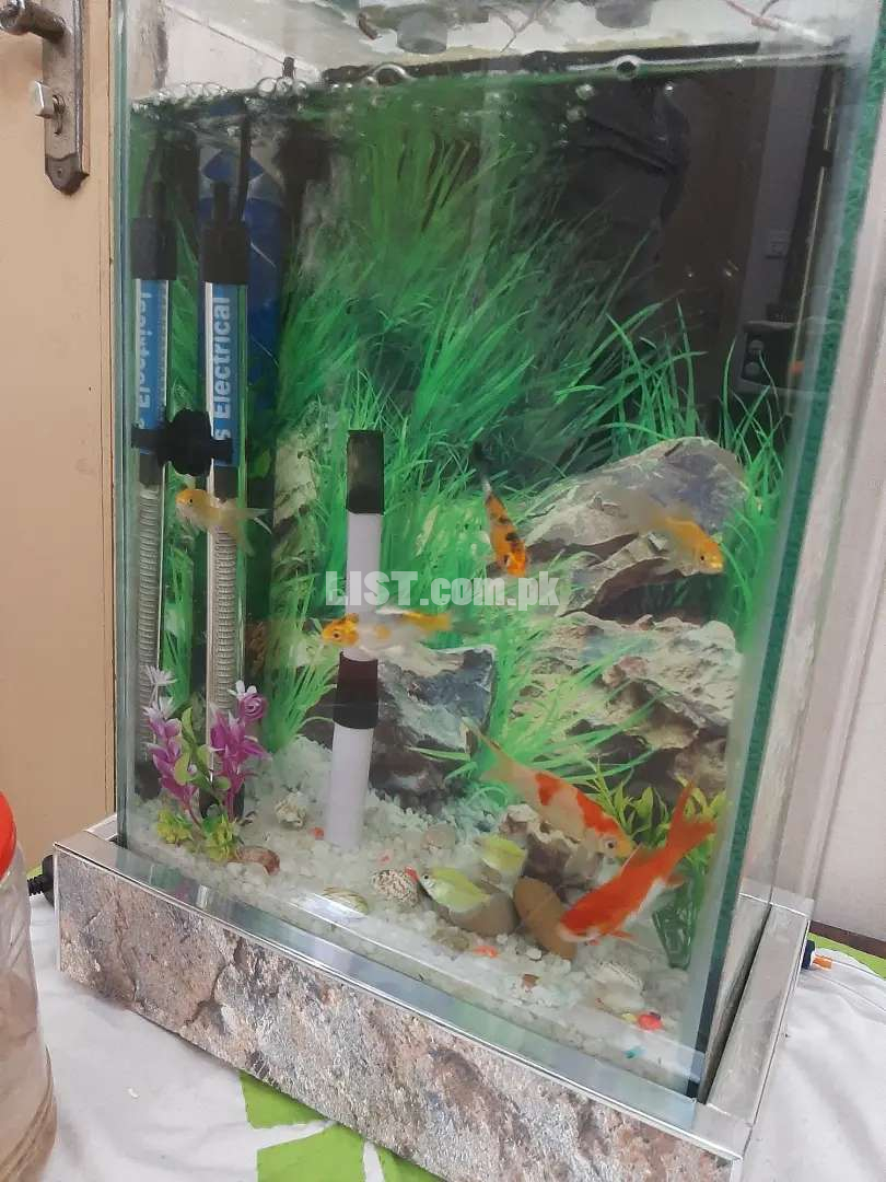 aquarium for sale 1 month used 1 by 1.5