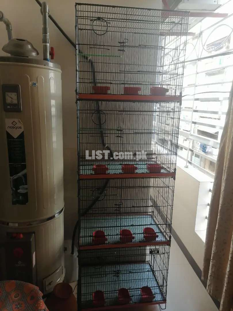 New Cage 4 stories