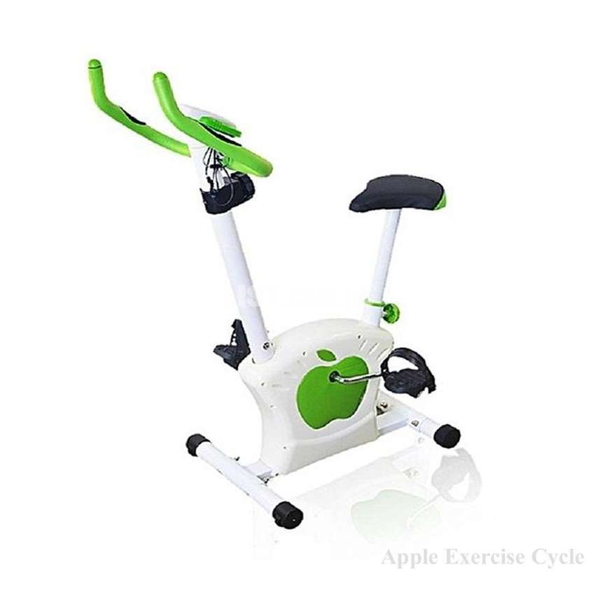 Exercise Magnetic Cycle, Apple Gym Bike & Machine, Fitter, healthier,