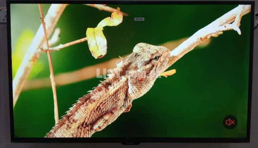 Matchless Samsung 55 inches LED TV