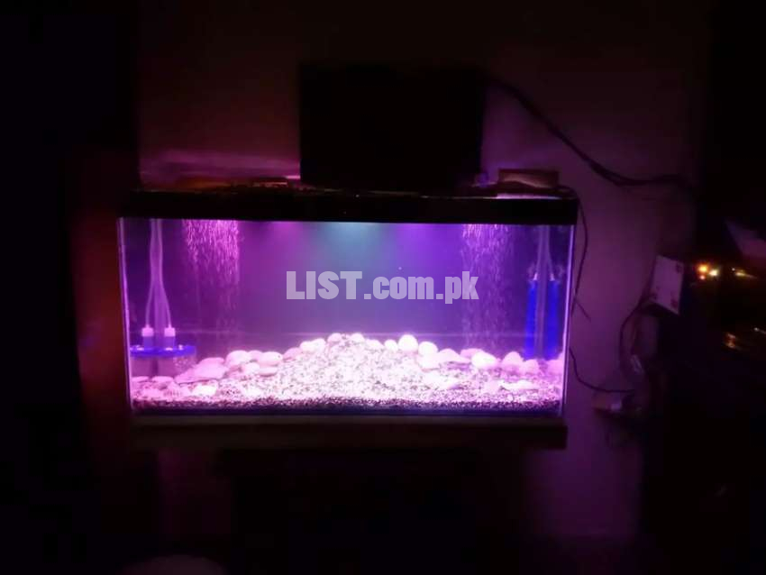 PRISM GLASS TANKS Custom Fish Aquariums