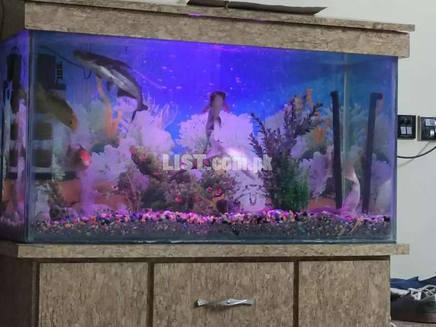 Beautiful Aquarium for sell