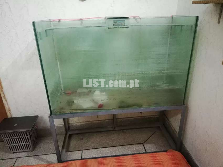 4 feet fish aquarium with stand and accessories