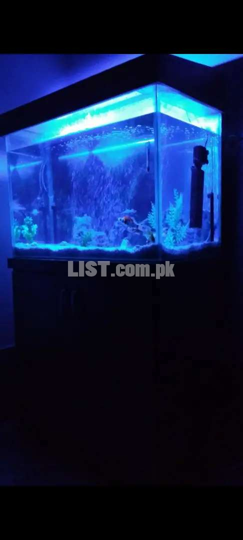 Aquarium with fishes and all accessories