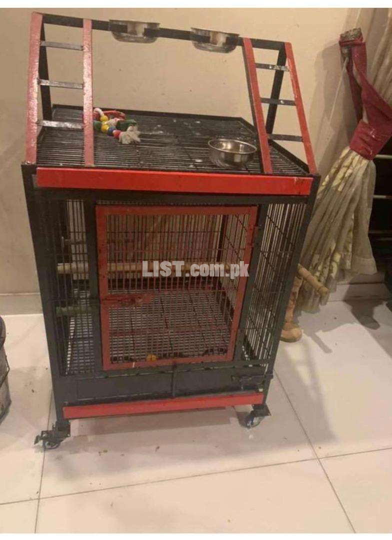 Big well built cage with wheels for grey cockatoo and breeding pairs