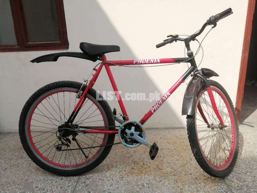 Phonix bicycle