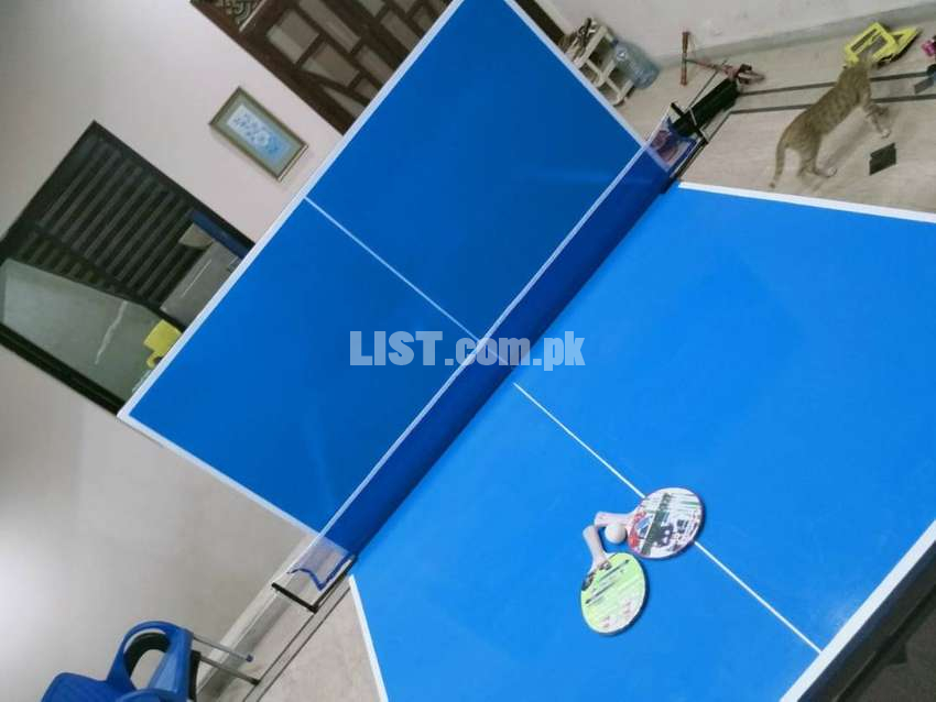 Table tennis | Premium Quality | Exclusively Available | Manufacturer