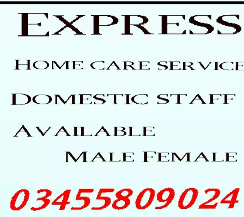 Expert Family Cook, Trained Helper, House Maid, patient Care,Driver,