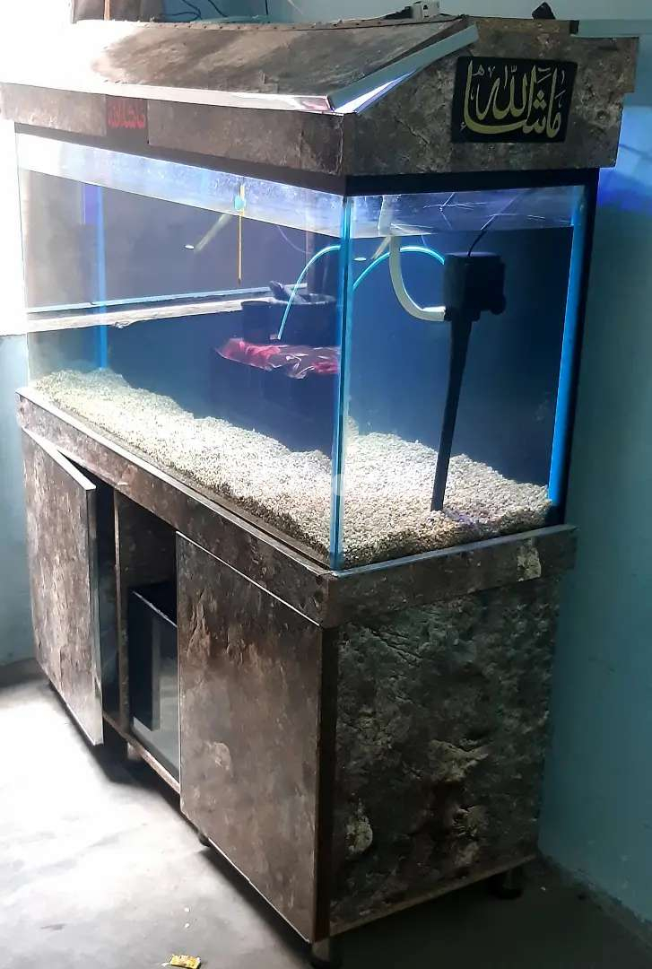 4 feet aquarium running setup 4 sale only sale for today need money