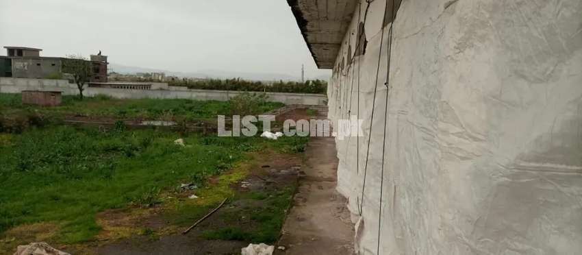 Poultry farm for rent in chak shahzad