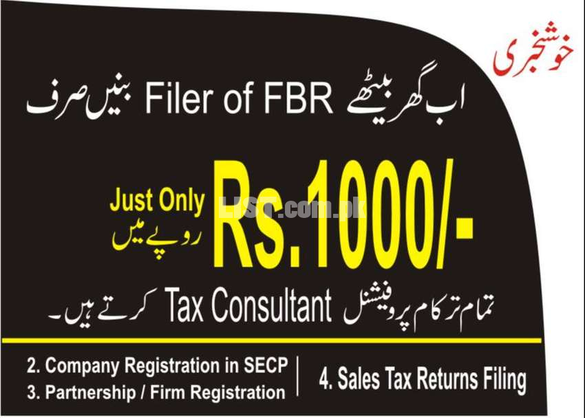 Tax Filer, Income Tax, Tax Return