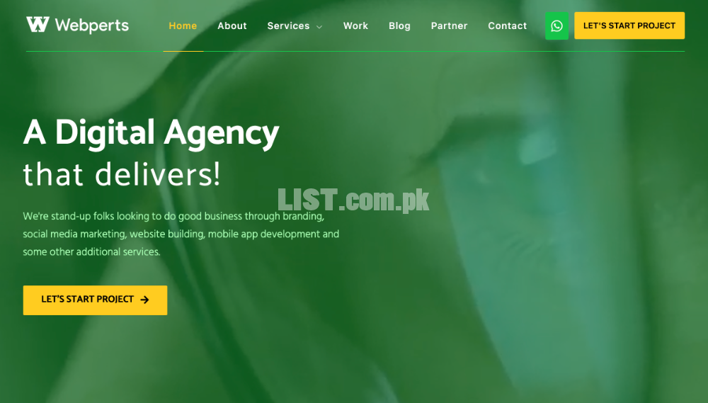 Website and Mobile App Development Company at Hyderabad Pakistan