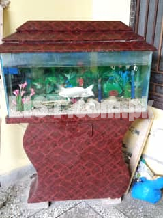 Fish aquarium in mint condition