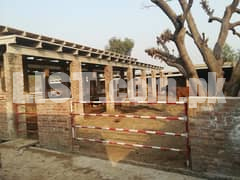 Cattle, Dairy farm for rent ? Lahore