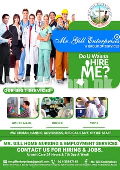 Mr. Gill Enterprises Domestic services