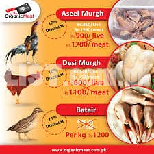 Desi chickens meat SHOP and QUILLSsss