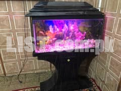 fish aquarium full setup sale