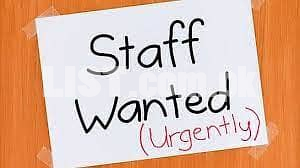job offer Need Male and Female Staff