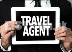 Travel & Tour Consultant