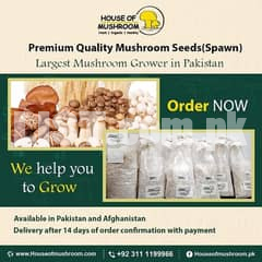 Mushroom Seed (Spawn)