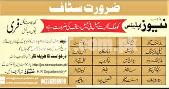 Staff Required For News Updates For Males and Females