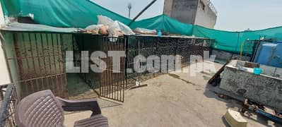Cage With Fiber Sheet Roof/LED Sale or Exchange Read ad Full