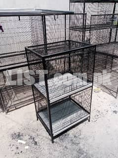 Cage parrot hen cat dog bajri chicks birds pet pinjra pigeon