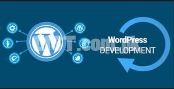 Experienced WordPress Developer Required in DHA Phase 6 Lahore