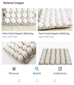 fresh eggs whole sell dealer