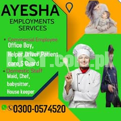 house maid baby Sitter Couple Office Boy Cook Patient Care